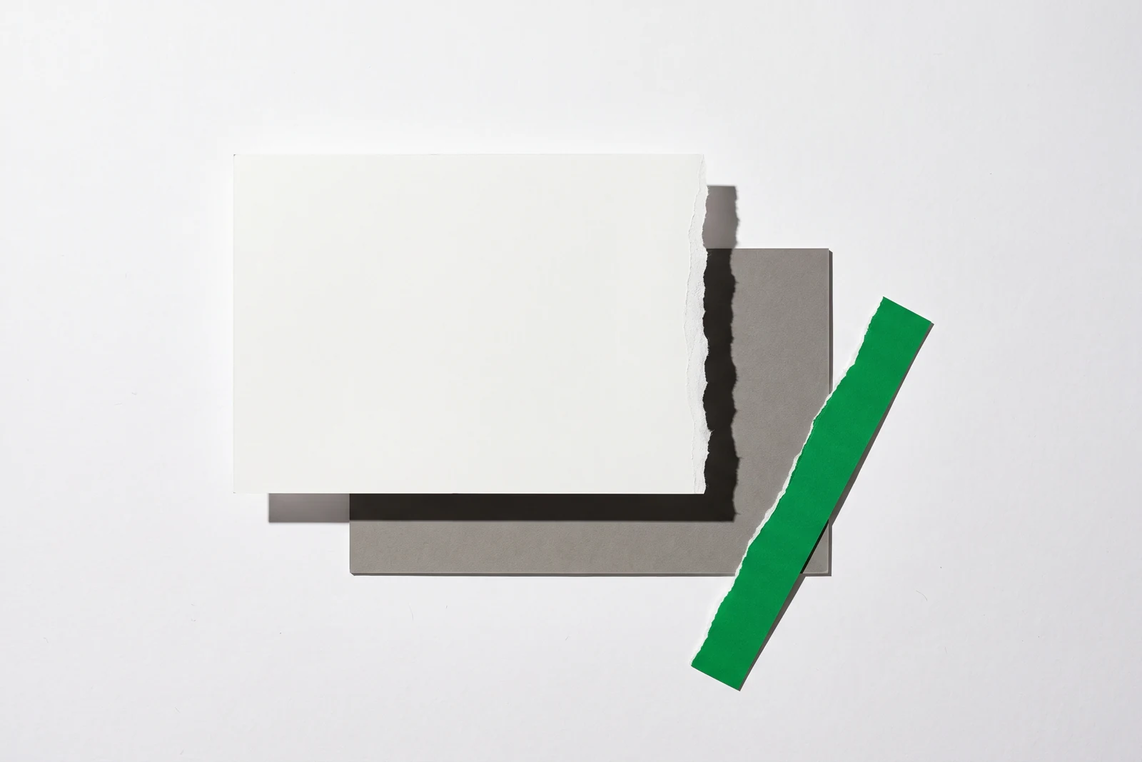 Une carte de papier vierge dont le bord droit a été arraché d'un seul tenant, la bande détachée teintée de vert posée à côté, ombres nettes vers le bas à droite.