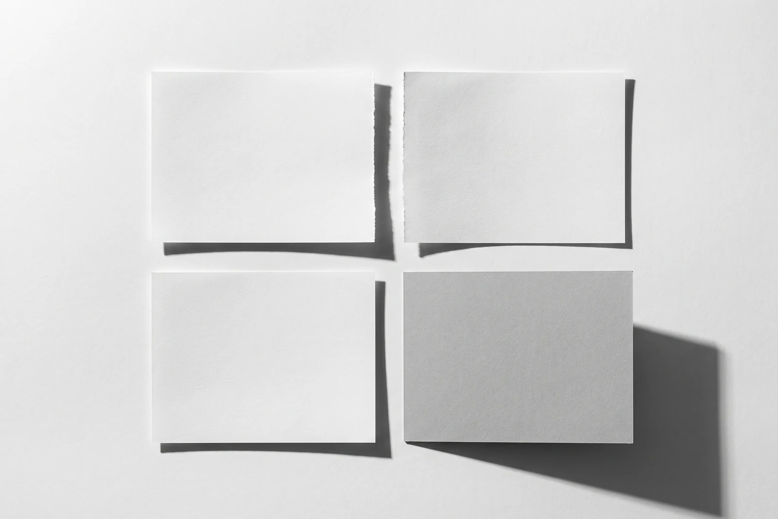 Une feuille de papier déchirée droit en deux, les deux moitiés écartées, ombres dures projetées vers le bas à droite.
