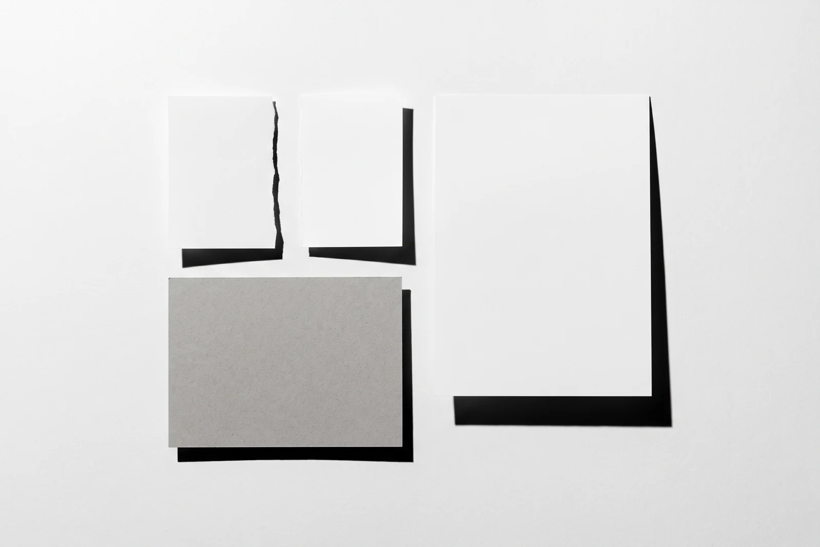 Une feuille de papier déchirée droit en deux, les deux moitiés écartées, ombres dures projetées vers le bas à droite.