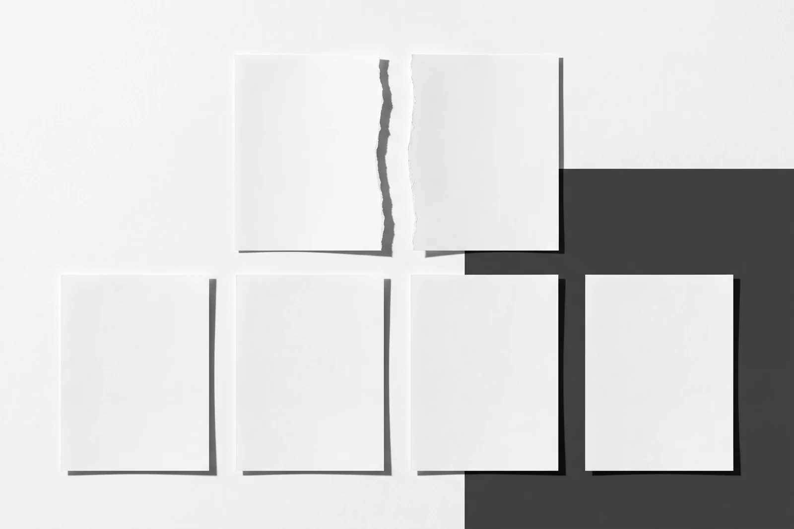 Une feuille de papier déchirée droit en deux, les deux moitiés écartées, ombres dures projetées vers le bas à droite.