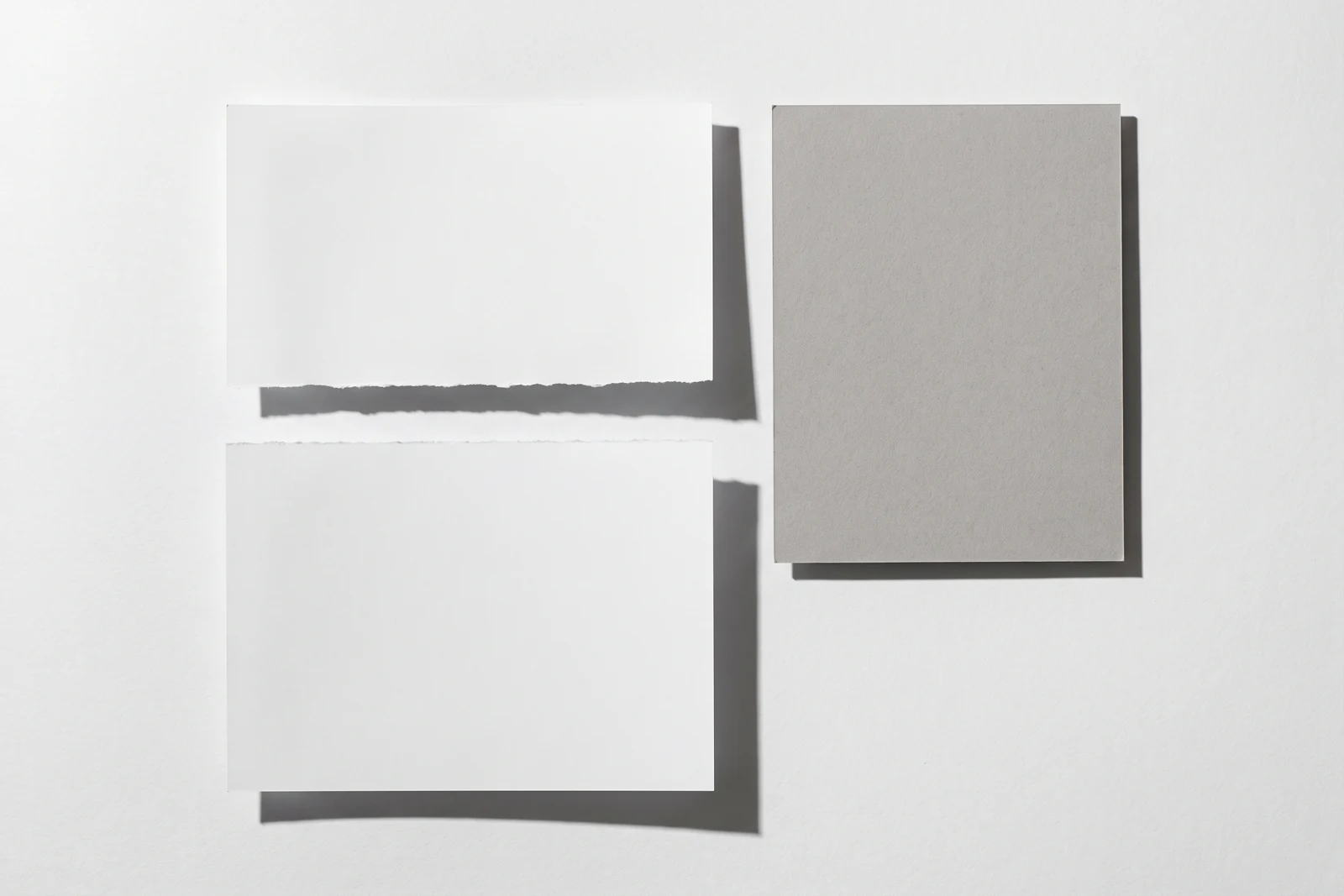 Une feuille de papier déchirée droit en deux, les deux moitiés écartées, ombres dures projetées vers le bas à droite.
