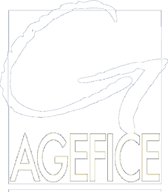 Logo de l'AGEFICE en couleur or sur fond transparent, représentant un soutien financier pour la formation continue des dirigeants d'entreprise